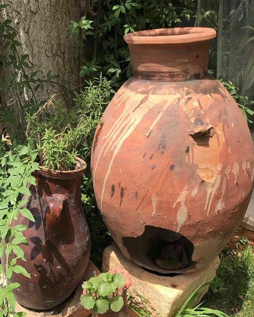 Jar in the garden. zahle zahle lebanon jar garden old... (Zahlé, Lebanon)