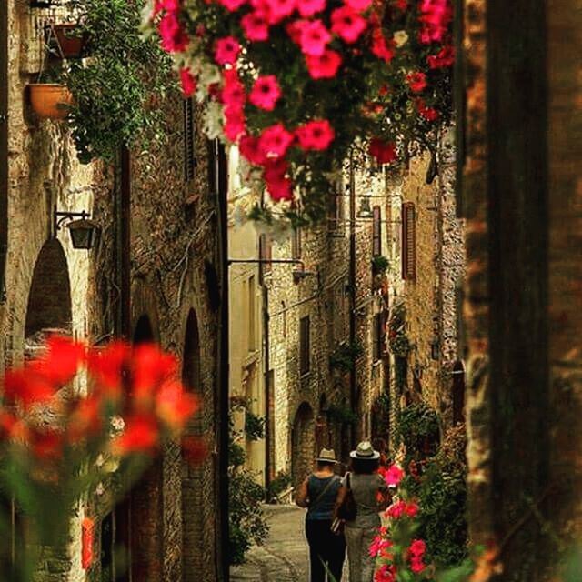 Jbeil❤️ have a nice day... _______________________________________________________ lebanon  jbeil  byblos  niceday  lebanonisbeautiful  lovely  amazing  colorful  lebanesestreetstyle (Byblos - Jbeil)