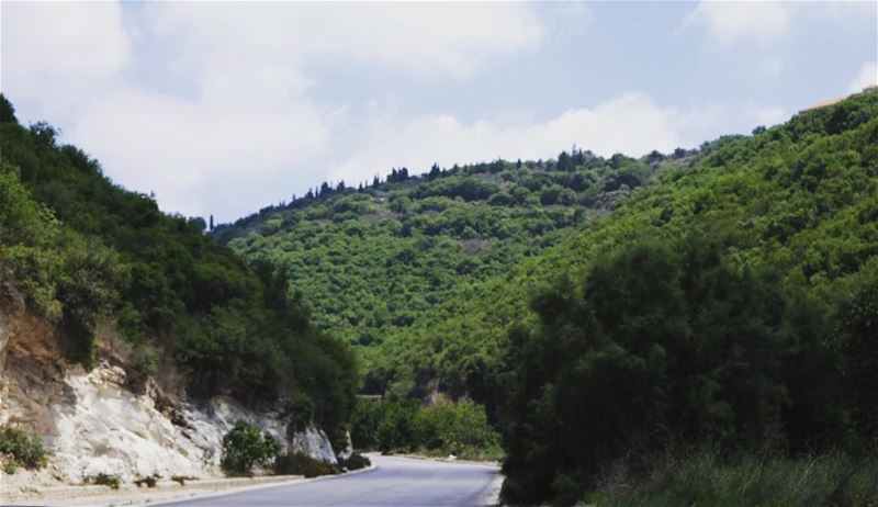 Jehliyé 🌳😍 thisislebanon summer2017 trees valley beautifuldestinations... (Jehliyeh River)