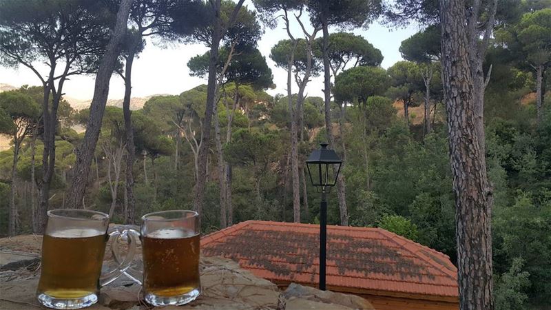  Jezzine  Bkassine ... (La Maison de la Forêt)