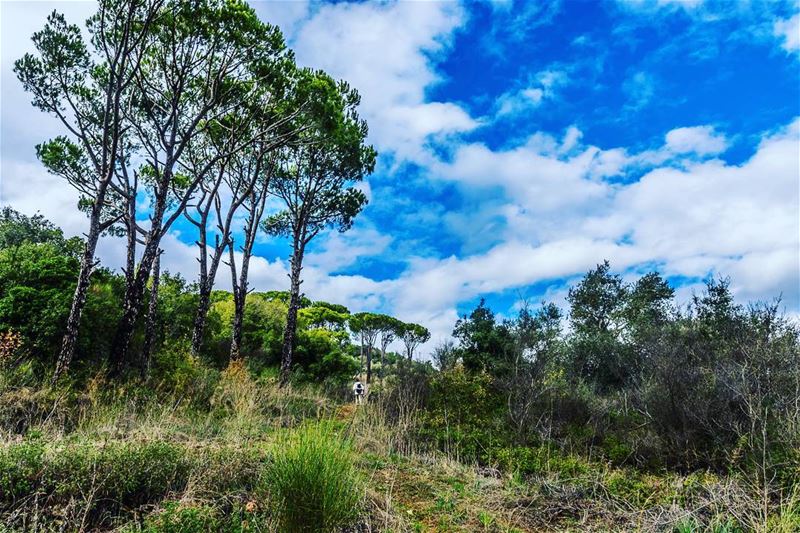 Jezzine Region lebanon  hiking  nature  outdoors  livelovelebanon ... (Jezzine District)