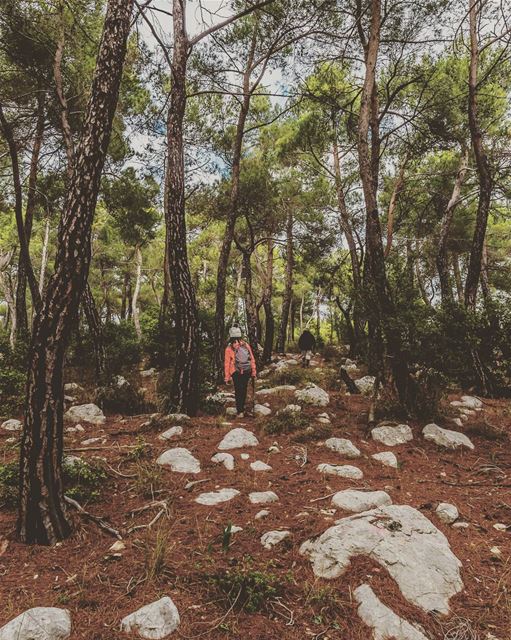 Jezzine Region, Lebanon lebanon  hiking  nature  outdoors ... (District de Jezzine)