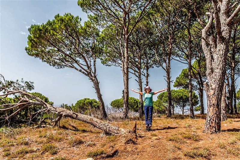 Jezzine Region, Lebanon  lebanon  hiking  nature  outdoors ... (Lebanon)