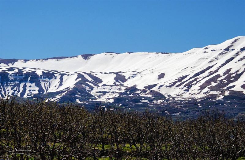Just after the rain shower ☀☀ (Bcharreh, Liban-Nord, Lebanon)