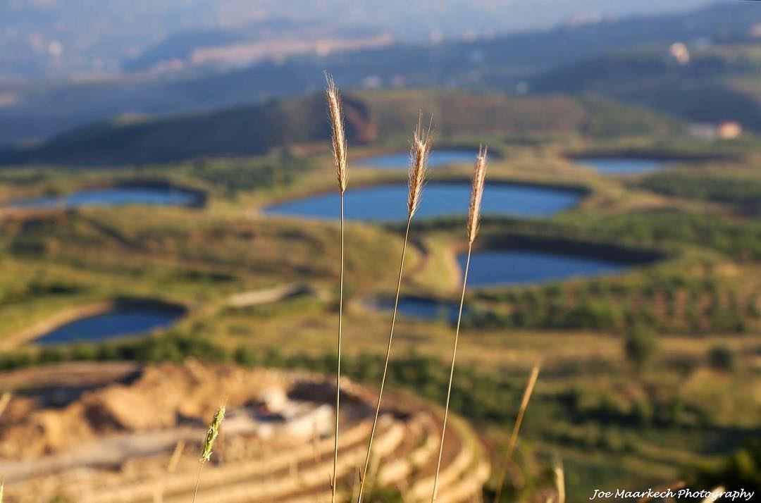 Just be Wild & Free...  lake  lebanon  laklouk  nature  naturelovers ... (El Laklouk, Mont-Liban, Lebanon)