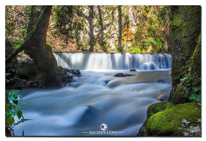 Kaftoun el koura  lebanonbylocal  discover961  lebanon  thebestinlebanon ...