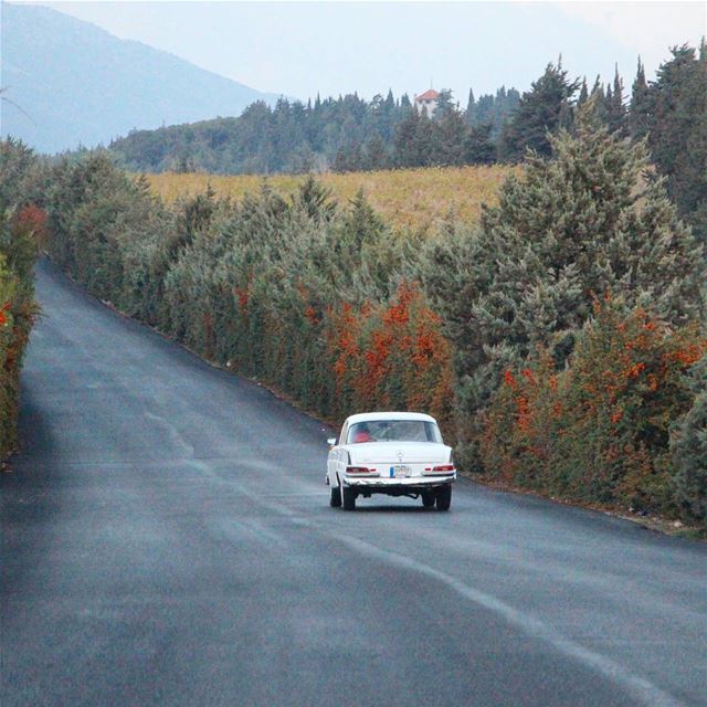 Keep on rolling 🏰 (Kifrayya, Béqaa, Lebanon)