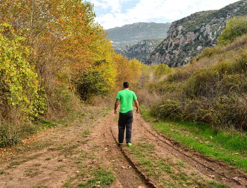 Keep walking 🍁 autumn winter walking hiking camping camp hike nature...