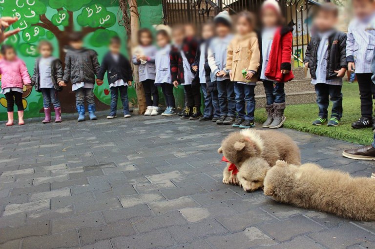 Kids Playing with Bears in a School in Lebanon