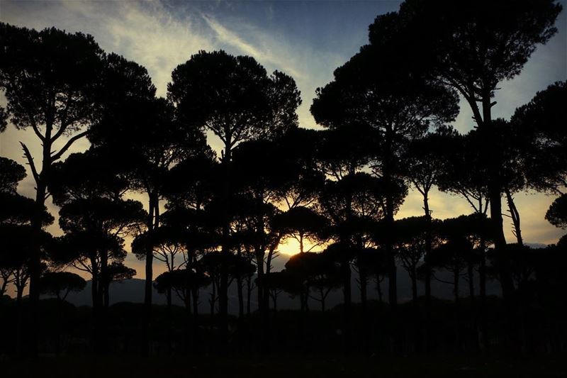 Kind of sunset 🌅 ... sunset sunsetlovers sunset_pics landscape... (Jezzîne, Al Janub, Lebanon)