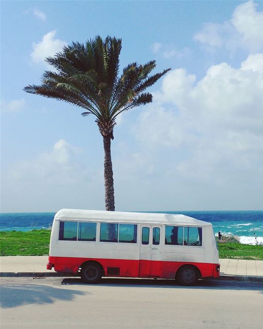 L.A. Vibes 🚌 🌴 (Tyre, Lebanon)