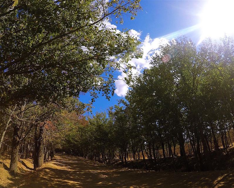 "La beauté est dans les yeux de celui qui regarde" 🌤  ammiq  westbekaa ... (`Ammiq, Béqaa, Lebanon)