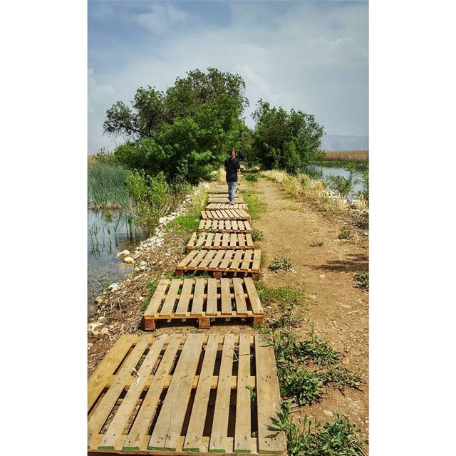 'La soledad es mirar a unos ojos que no te miraran.' ... (`Ammiq, Béqaa, Lebanon)