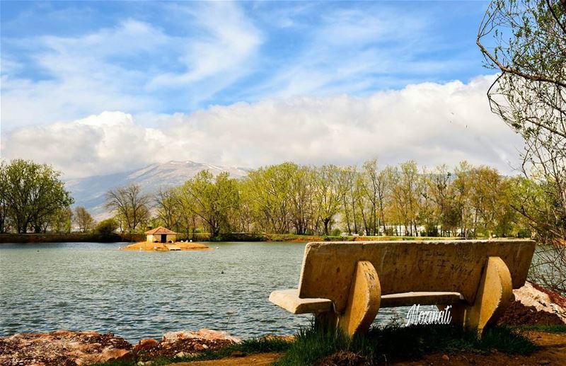  lake water wonderful_places places naturephotography natureloversgallery... (Taanayel Lake)