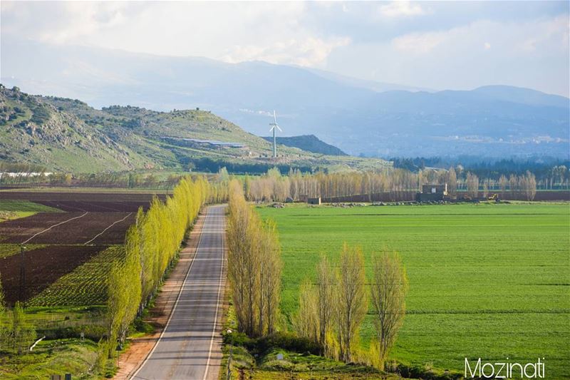  landscape landscaping naturephotography natureloversgallery nature... (`Ammiq, Béqaa, Lebanon)