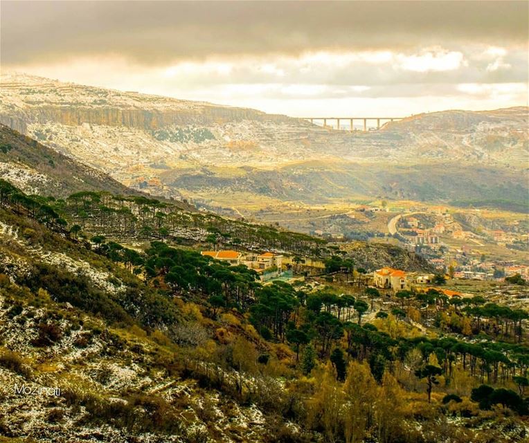  landscape landscaping nikon5300 ig_epicshots ig_lebanon super_lebanon... (Mount Lebanon Governorate)