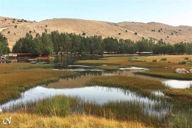  landscape  photography  mountains  sky  water reflection  outdoor  trees ... (Oyoun oreghoch)