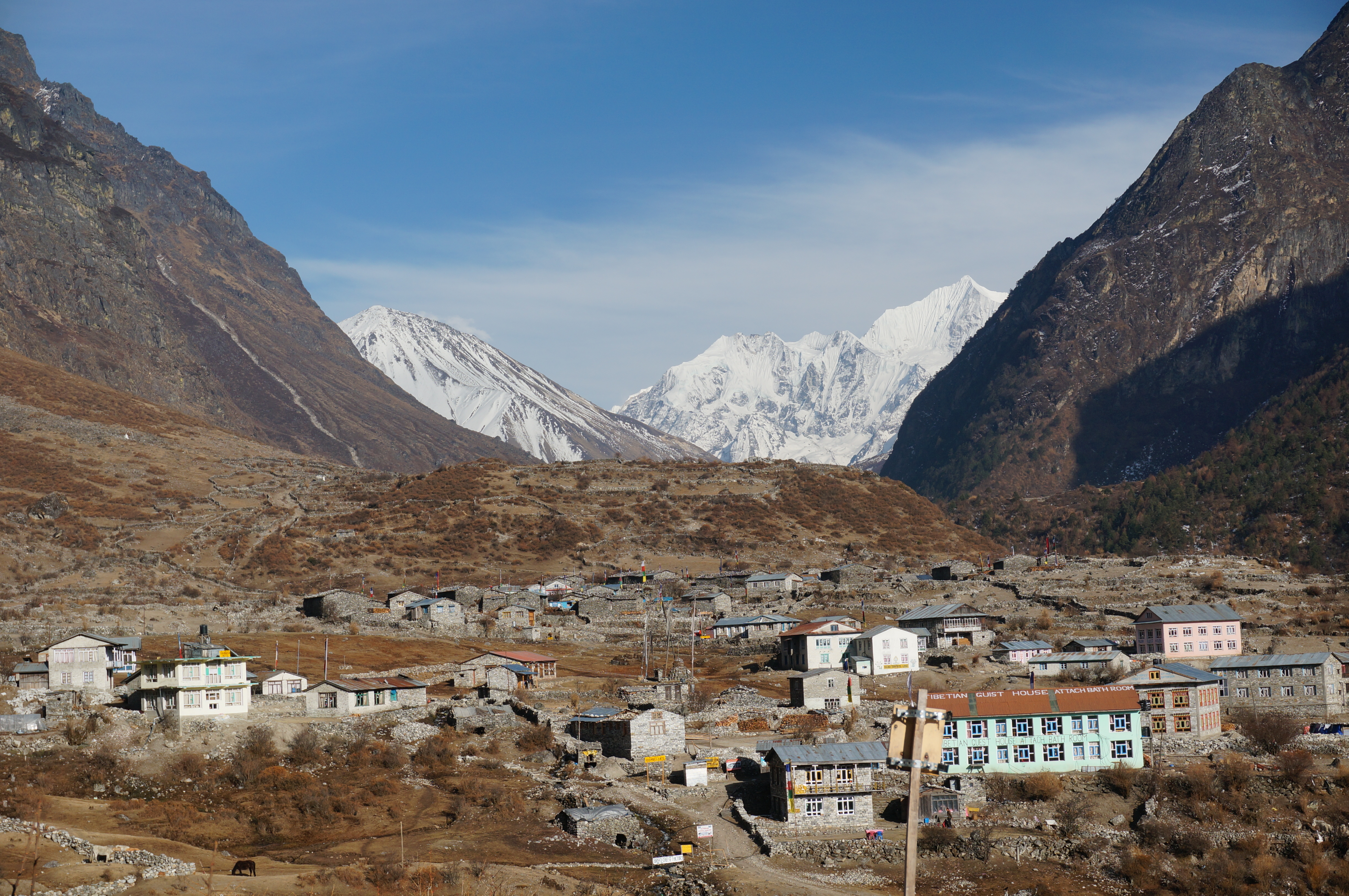 Langtang trekking