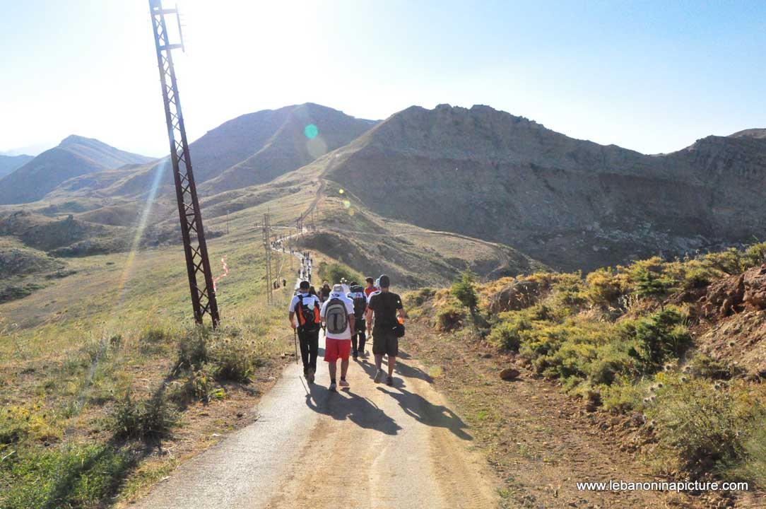 Laqlouq Cedars Army Marathon 2012