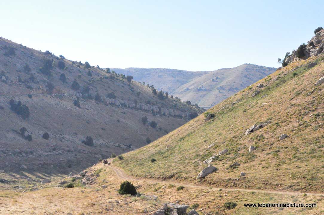 Laqlouq Cedars Army Marathon 2012