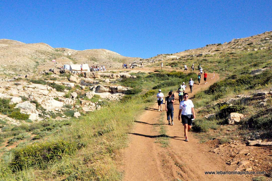 Laqlouq Cedars Army Marathon 2012