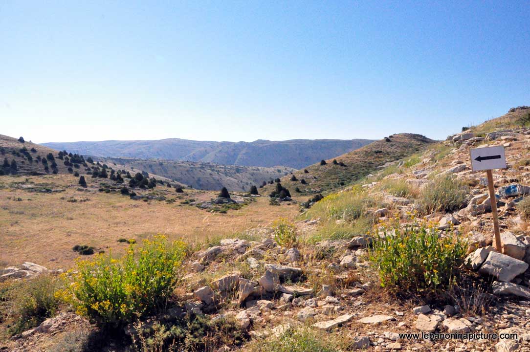 Laqlouq Cedars Army Marathon 2012