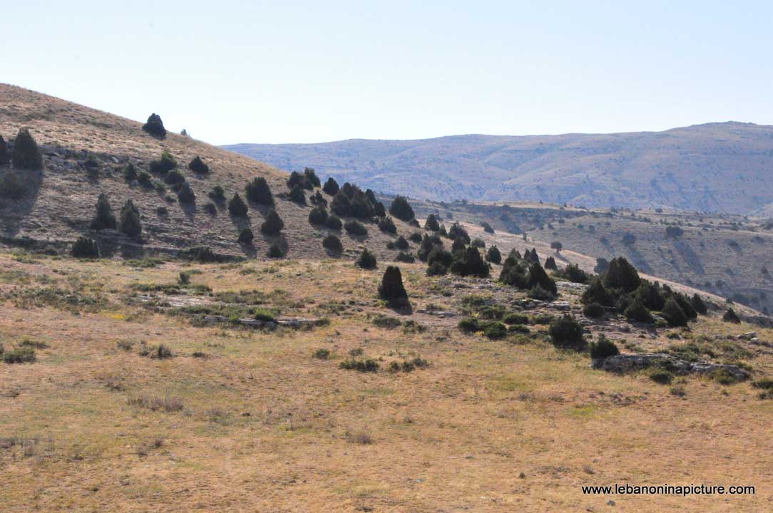 Laqlouq Cedars Army Marathon 2012