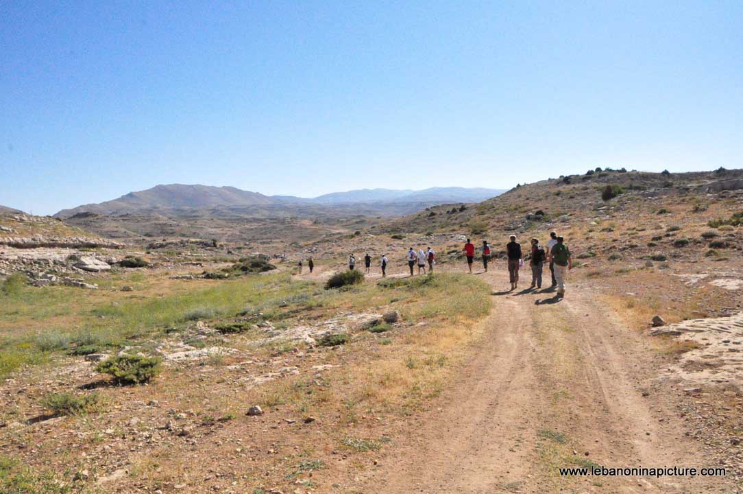 Laqlouq Cedars Army Marathon 2012