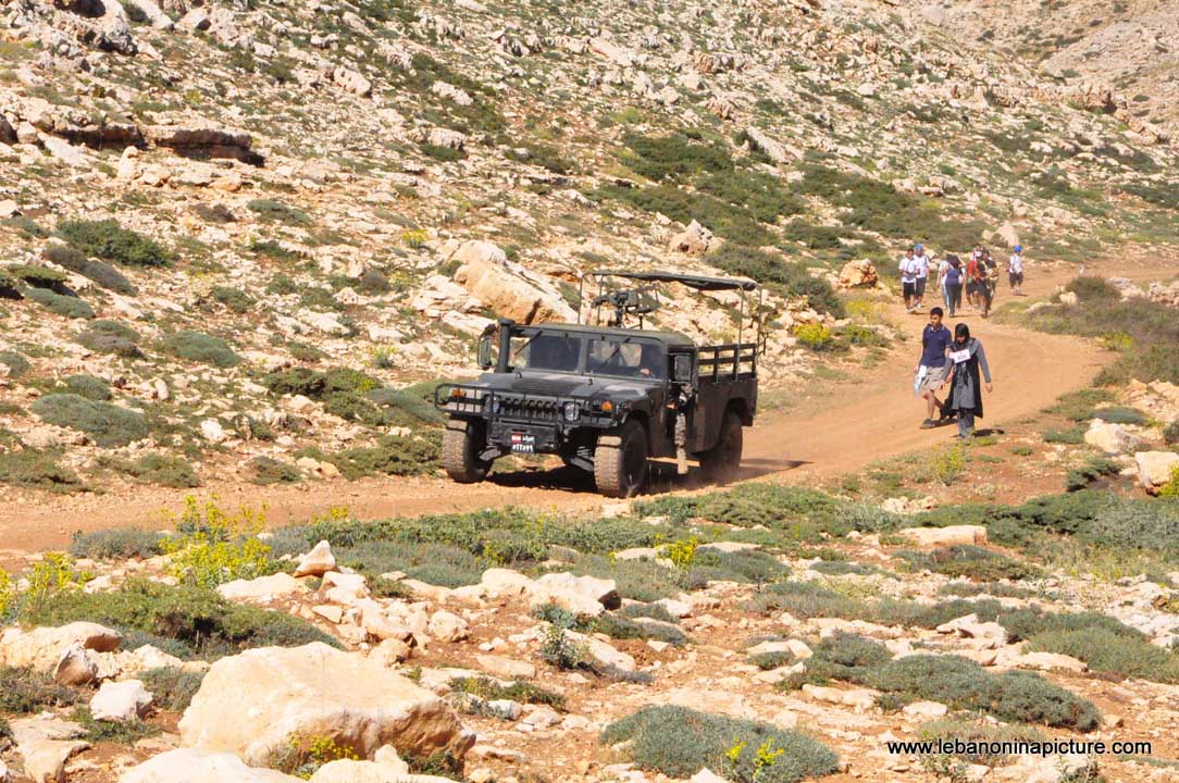 Laqlouq Cedars Army Marathon 2012