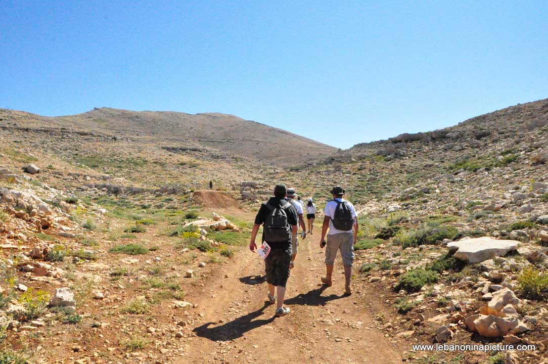 Laqlouq Cedars Army Marathon 2012