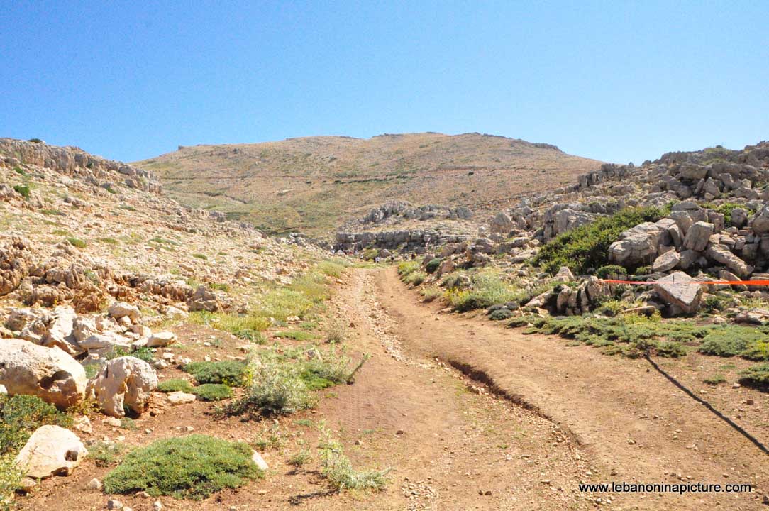 Laqlouq Cedars Army Marathon 2012