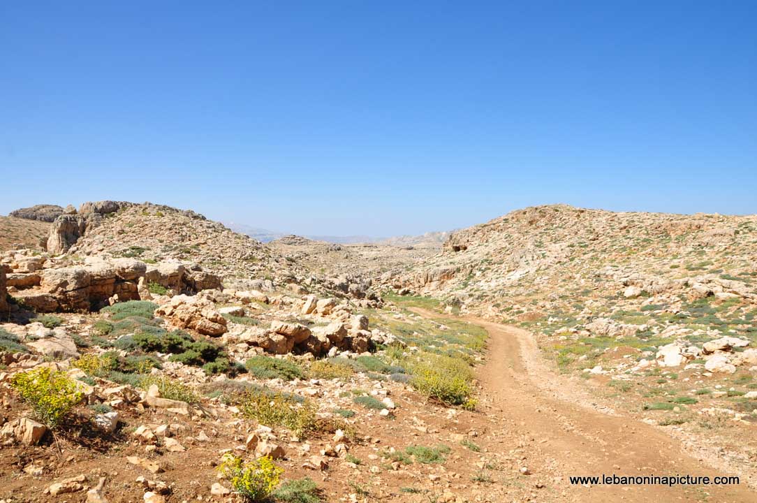 Laqlouq Cedars Army Marathon 2012