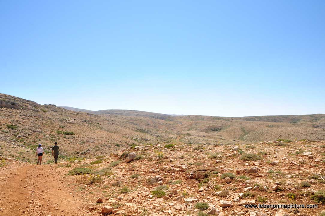 Laqlouq Cedars Army Marathon 2012