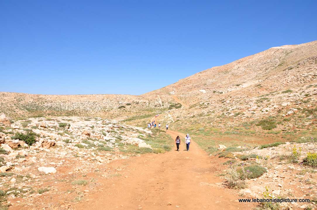 Laqlouq Cedars Army Marathon 2012