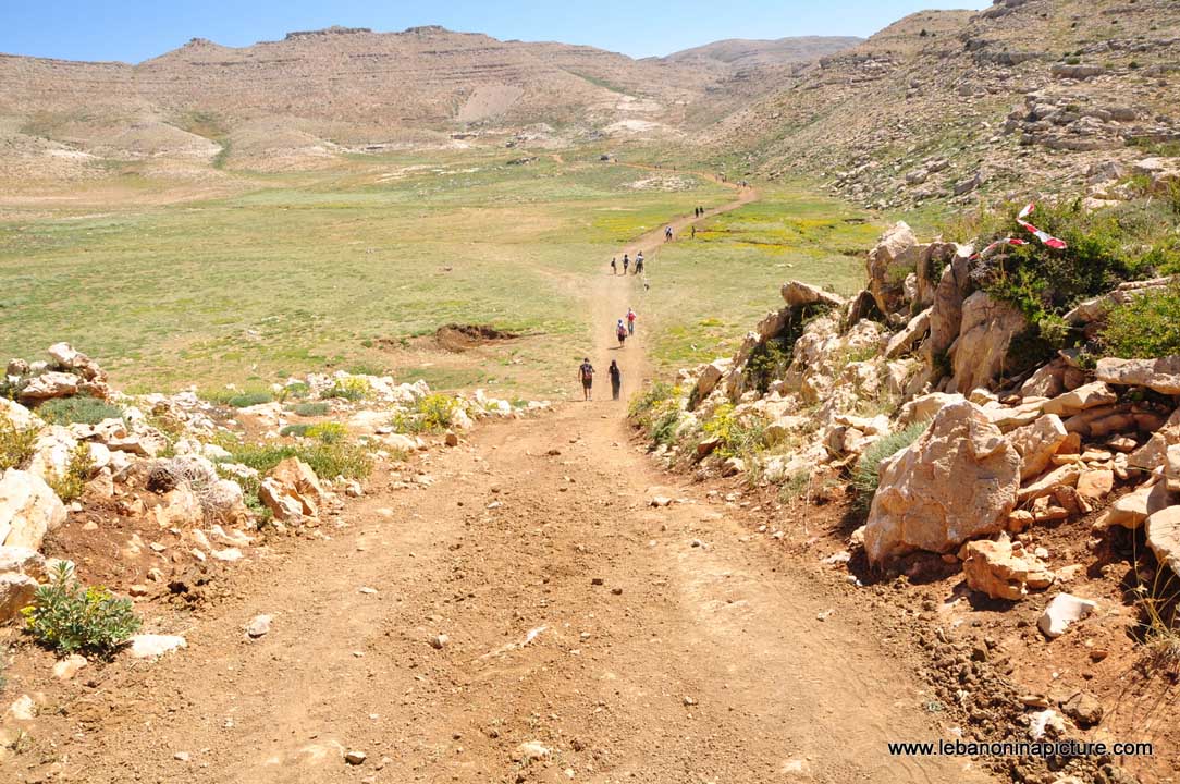 Laqlouq Cedars Army Marathon 2012