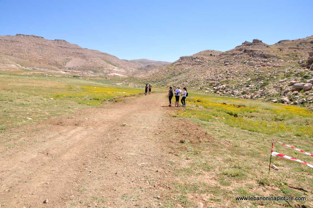 Laqlouq Cedars Army Marathon 2012