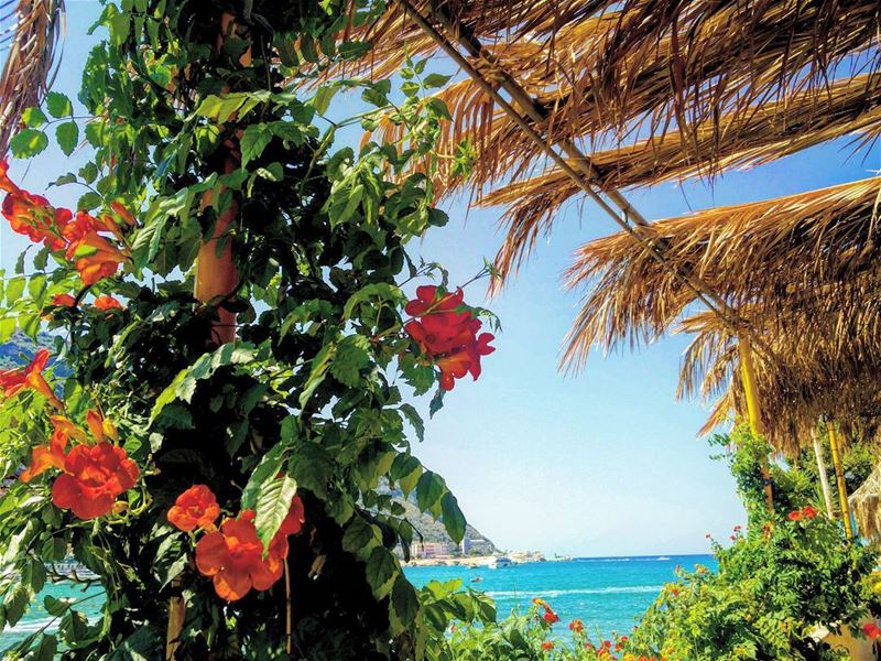 Last days of summer...🌺 summer 2017 lebanon north beach sea heaven... (Chekka)