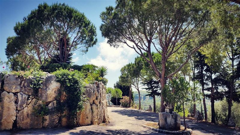  lebanese nature green trees road flowers sky clouds horizon... (Jran, Liban-Nord, Lebanon)