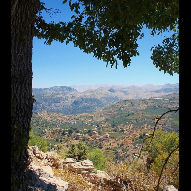  lebanese  village  valley  tree  sky  lebanon  colorful  instagramhub ...