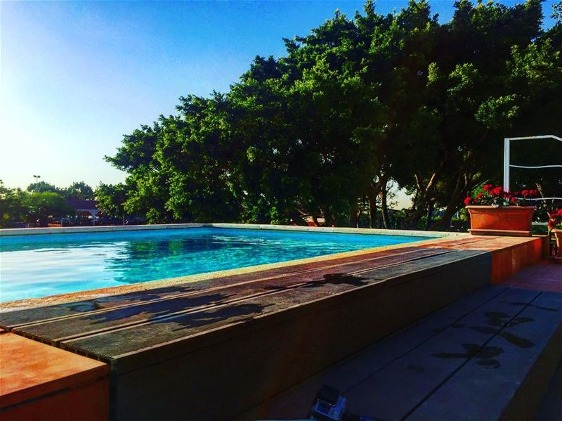 👙🏊  lebanesebucketlisters  pool  summer  nature  lebanon  tyre ... (Al-Yasmine Guesthouse)