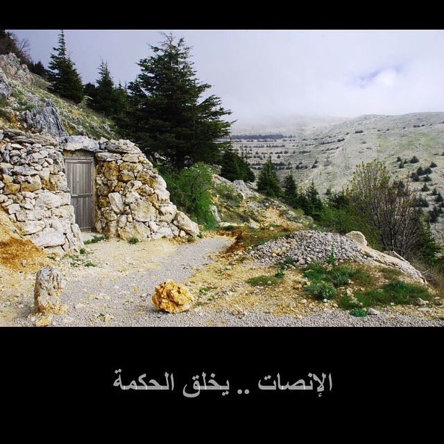  lebanon  2010  الشوف  لبنان