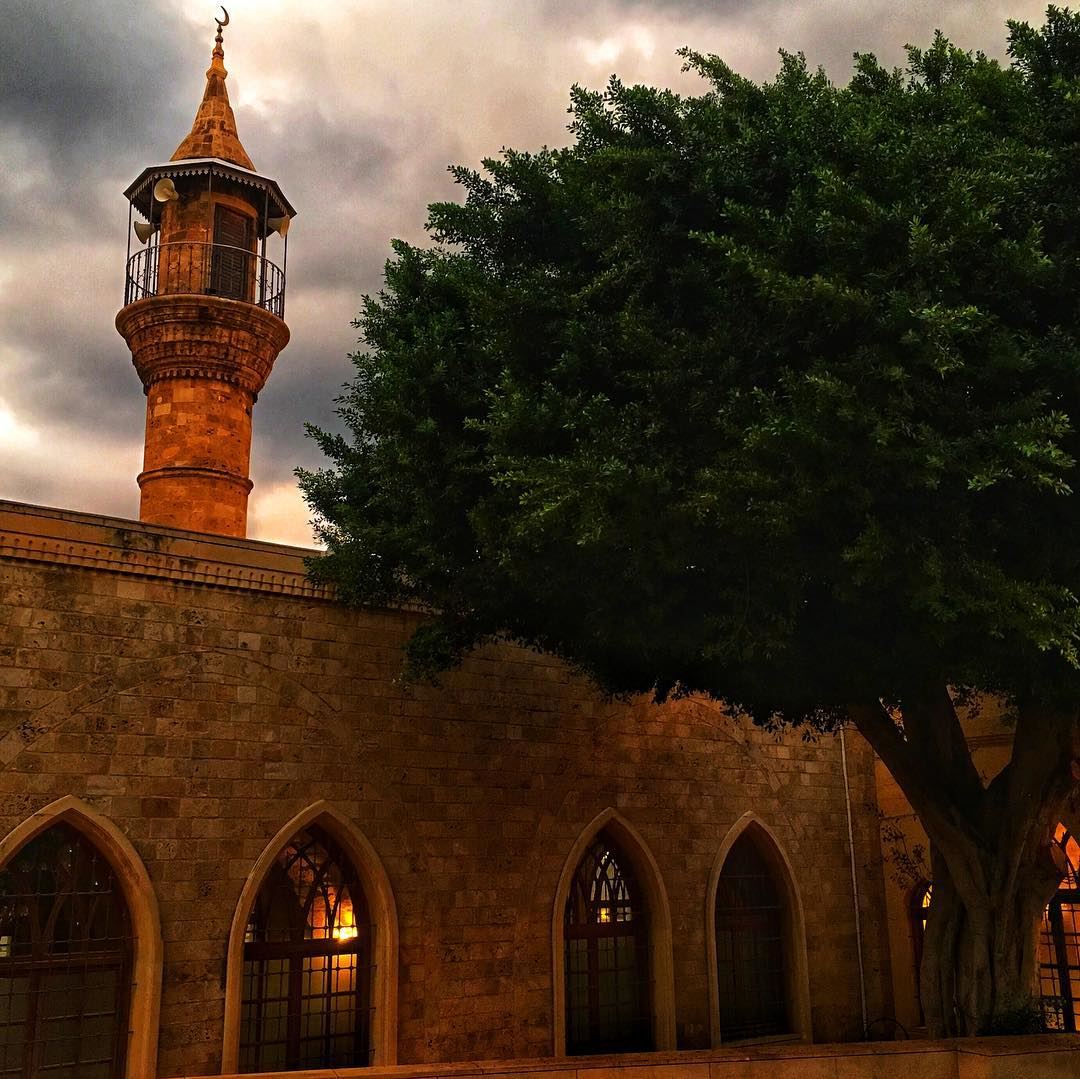  lebanon  beirut  november  autumn  clouds  meditation  tree  masjid ...