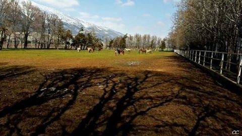  lebanon  bekaa  nature  livelovelebanon  picoftheday  tagsforlikes ...