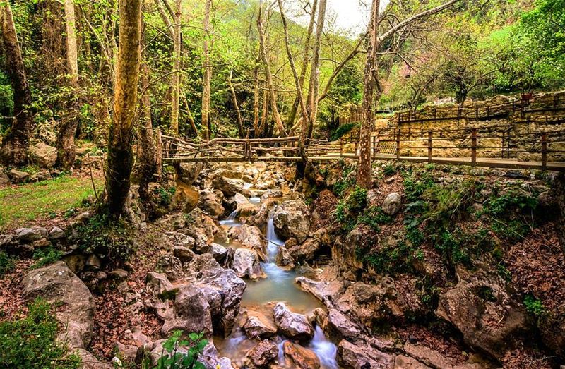  lebanon  green  nature  river  forest  snapshot  photo  photos ... (Yahchouch)