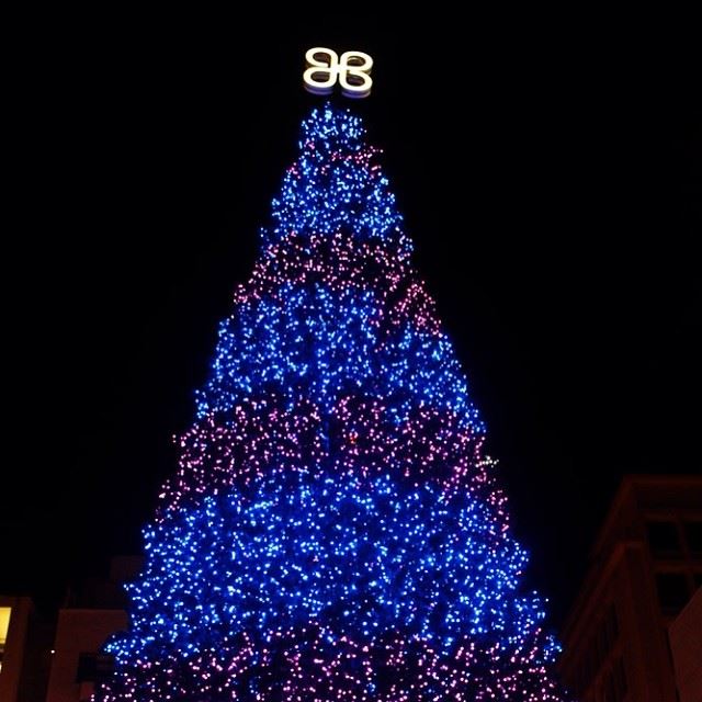  lebanon  lebanon_hdr  christmas  tree  beirut ...
