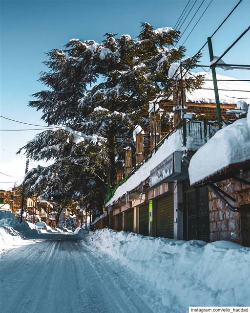  Lebanon 🇱🇧 LiveLoveLebanon  LiveLoveBeirut  Snow  White  Nature  Sky ... (Hasroun)