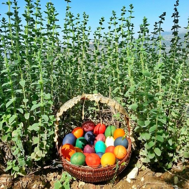  lebanon  maasserbeiteldine  happy  easter  colorful  eggs ...