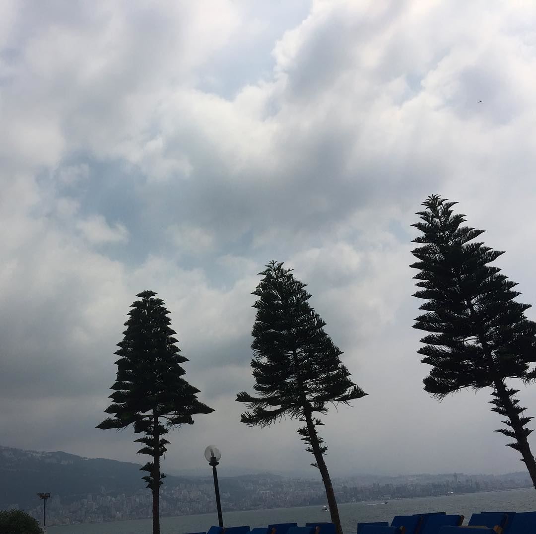  lebanon  mediterranean  trees  mountains  nature  instalike ...