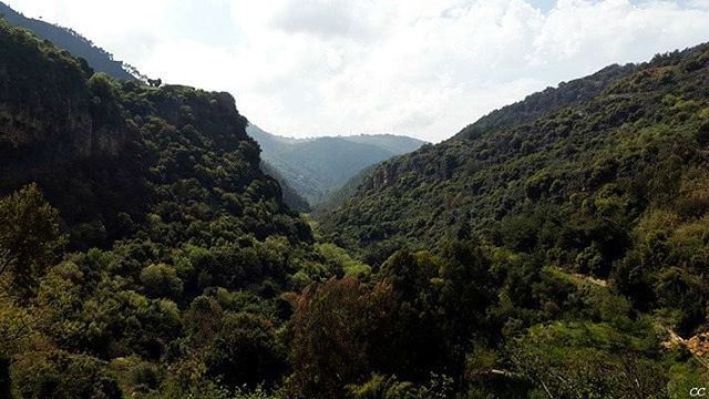  lebanon  mountains  green  nature  chouf  livelovelebanon  ...