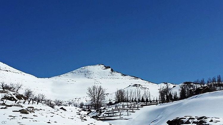  lebanon  mountains  snow  laklouk  pic  camera  capture  landscape ...